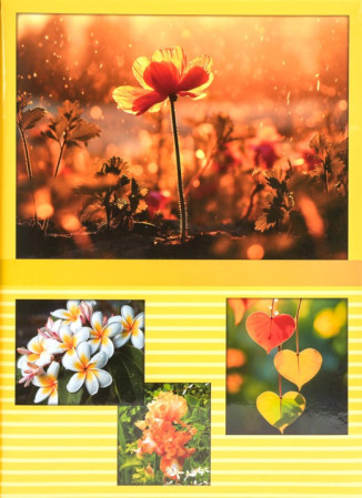 detail Fotoalbum 10x15/100 2-up Fandy DUSK 1