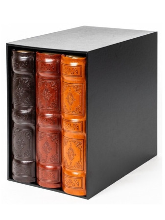 detail Fotoalbum 3x 10x15/200 v boxu Gedeon DECOR SET3