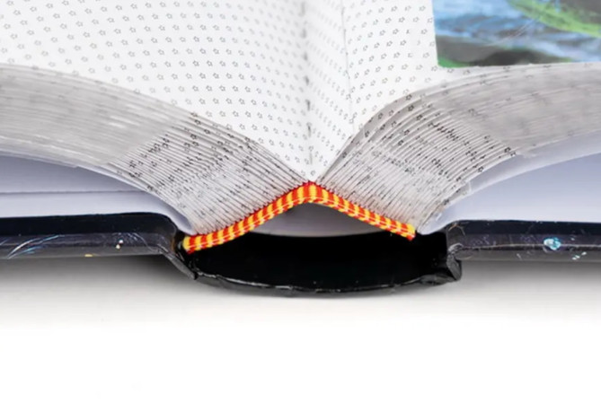 detail Fotoalbum 10x15/200 B46200S Fandy GINGO 2 strom