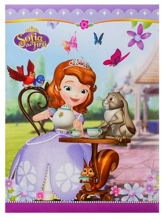 detail Fotoalbum samolepicí 40stran DRS20 Fandy DISNEY 01 SOFIE