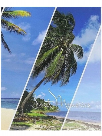 detail Fotoalbum samolepicí 60stran DRS30 Gedeon PALM 1