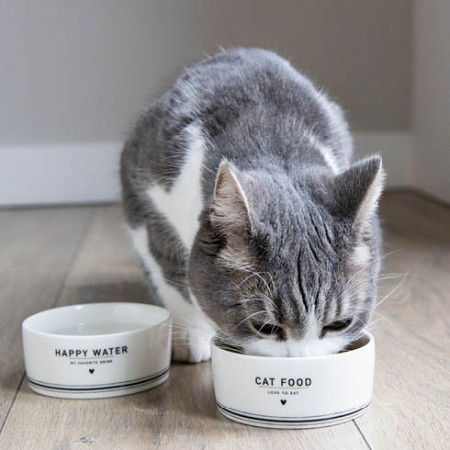 detail Bastion Collections 2x Miska CAT FOOD/WATER in black, 9,5x4cm