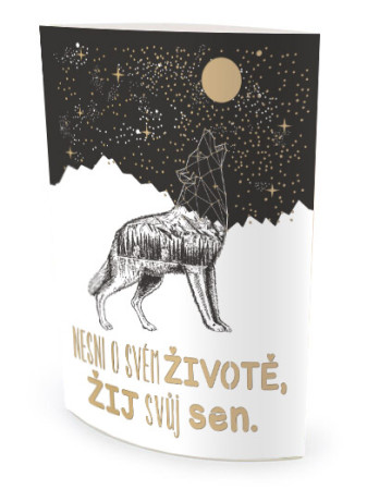 detail Nekupto Svítící lucernička s textem - Nesni o svém životě