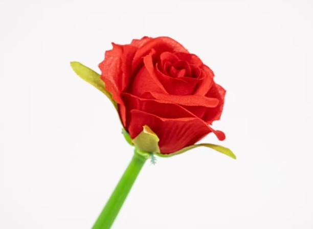 detail Fandy Pero gelové Silky 36 Rose