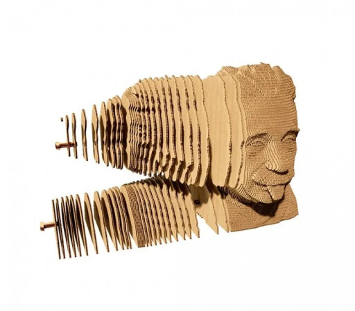detail Cartonic 3D PUZZLE - Albert EINSTEIN, 172 dílků, LEVEL4