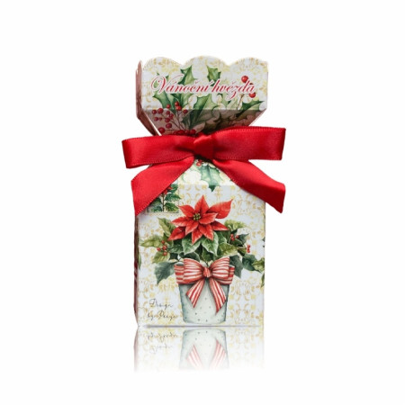 detail Soaptree MÝDLO V KRABIČCE 90g - VÁNOČNÍ HVĚZDA