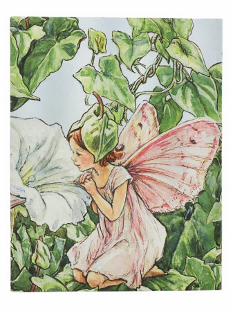 detail Paperblanks ULTRA zápisník - Bindweed Fairy, linkovaný, flexi