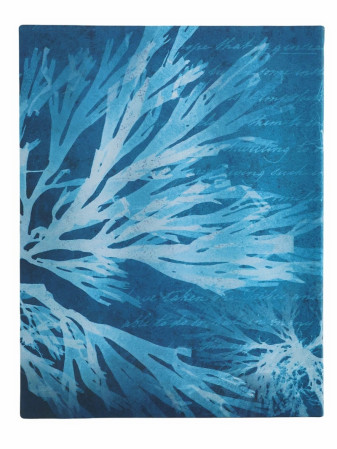 detail Paperblanks ULTRA zápisník - Sea Flowers, linkovaný, flexi