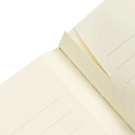 detail Paperblanks Sešit A6, linkovaný - Monetovy chryzantémy