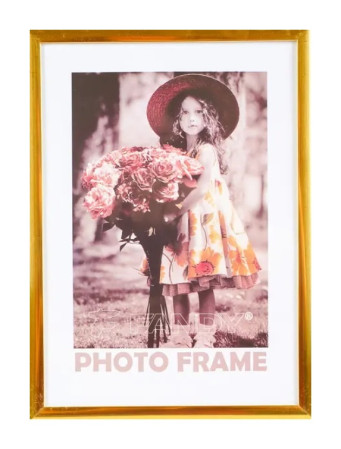 detail Rámeček plastový 30x40cm Fandy SIMPLE 2 zlatý