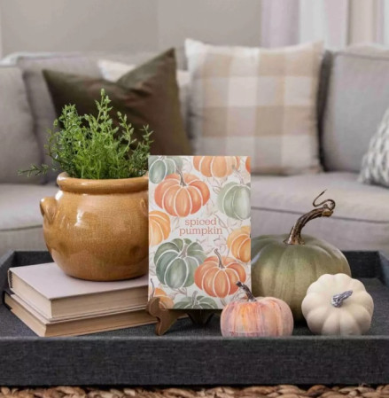 detail Vonný sáček 115ml Fresh Scents - SPICED PUMPKIN