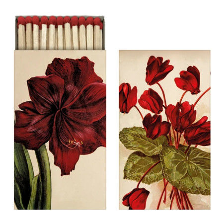 detail Sköna Ting Zápalky Orange Autumn Plants Amaryllis, 45ks