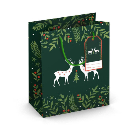 detail Alvarak Dárková taška TM - 224-524 JELENI