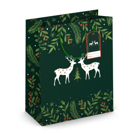 detail Alvarak Dárková taška TL - 224-524 JELENI