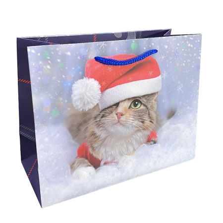 detail Albi Dárková taška TX1 - KOČIČKA VÁNOČNÍ, 22,5x17,5x9,5cm