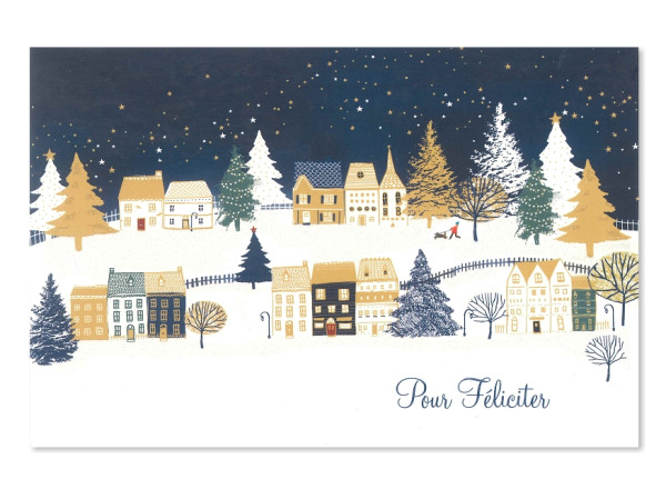 detail Ditipo Novoroční přání I - Pour Félicter (modro-bílé s domečky)