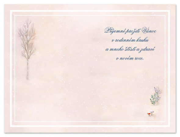 detail Ditipo Blahopřání I - Vánoce, čas radosti, pohody a pokoje.