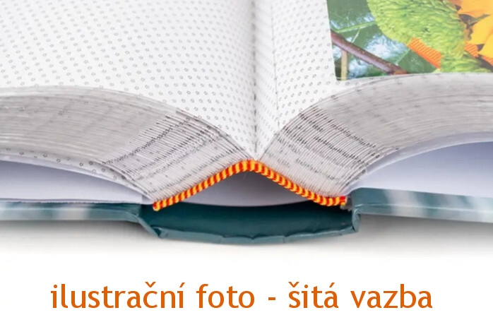 detail Fotoalbum 10x15/300 2-up B46300/2S Poldom Fiori