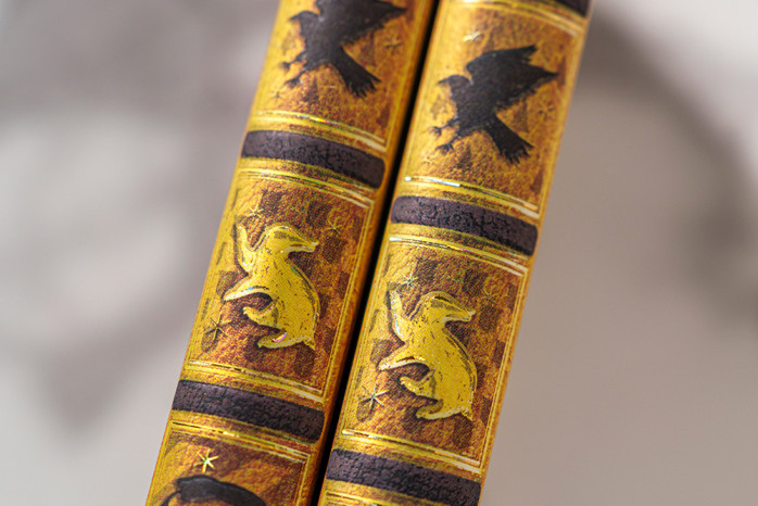 detail Paperblanks MIDI zápisník - Mrzimorský deník / Harry Potter, linkovaný