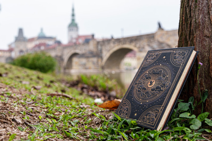 detail Paperblanks ULTRA zápisník - Shadows of Navarre, nelinkovaný