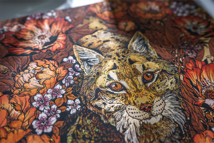 detail Paperblanks MIDI zápisník - Lynx Rising, linkovaný, flexi