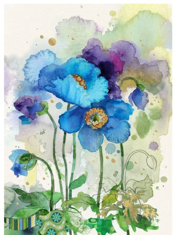 Luxusní přání B052 BUG ART - BLUE POPPIES Modré máky