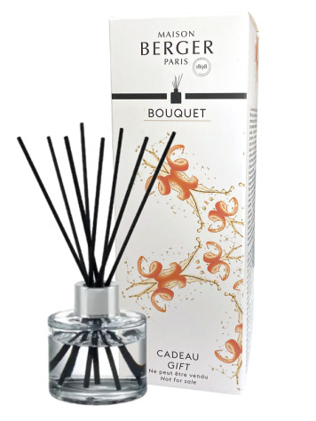 Maison Berger BOUQUET CADEAU GIFT, 80 ml