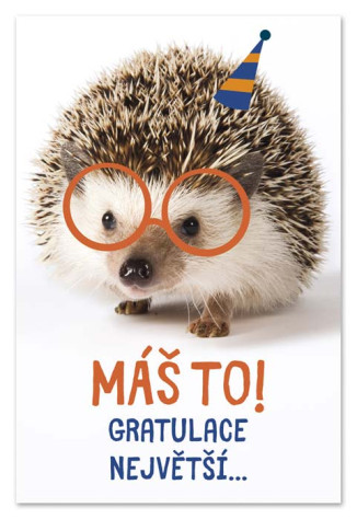 Ditipo Blahopřání H - MÁŠ TO! GRATULACE NEJVĚTŠÍ ...