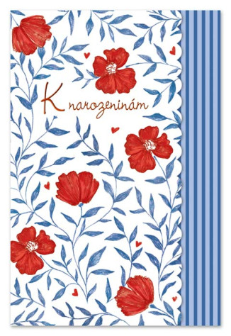 Ditipo Blahopřání L - K NAROZENINÁM, modro-červené