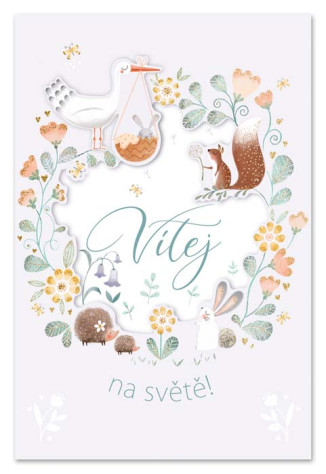 Ditipo Blahopřání HK - VÍTEJ NA SVĚTĚ (zvířátkové)