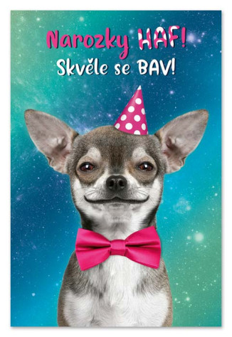 Ditipo Blahopřání GK - Narozky HAF, skvěle se bav.