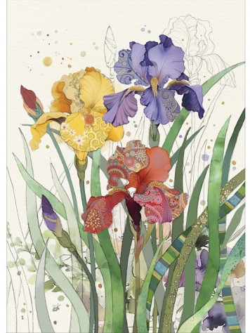 Luxusní přání B060 BUG ART - MIXED IRISES