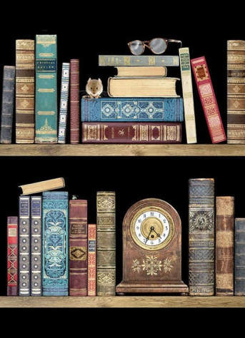 Luxusní přání M137 BUG ART - BOOKSHELVES