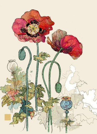 Luxusní přání B015 BUG ART - TWO RED POPPIES