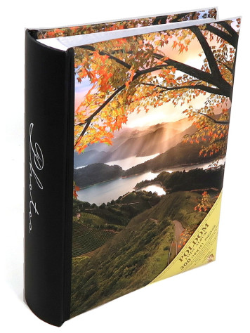 Fotoalbum 10x15/300 2-up B46300/2S Poldom assort 76 DRZ