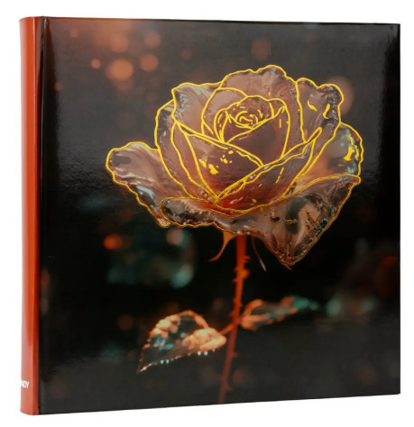 Fotoalbum 10x15/500 5-up Fandy Frosty 1