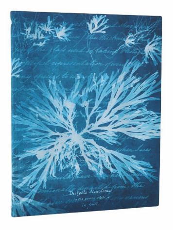 Paperblanks ULTRA zápisník - Sea Flowers, linkovaný, flexi