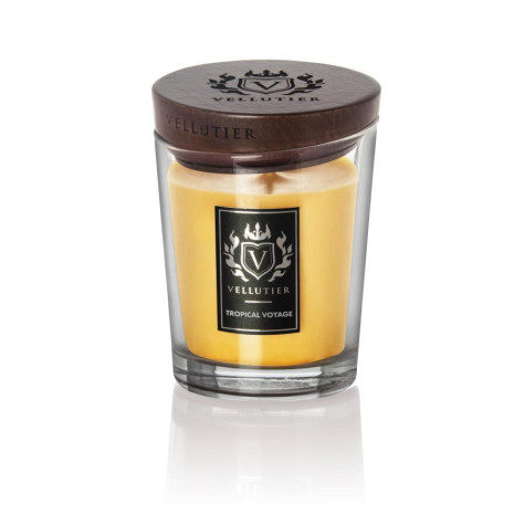Vellutier TROPICAL VOYAGE, střední svíčka 225 g