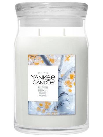 Yankee Candle Silver Birch, signature velká svíčka 568g