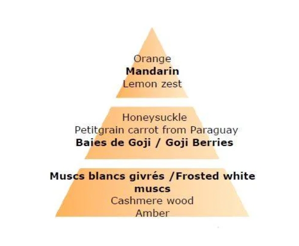detail Maison Berger GOJI BERRIES, náplň katalytické lampy 1L