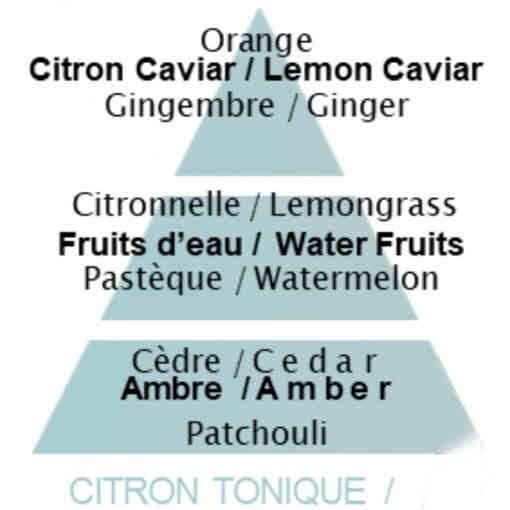 detail Maison Berger TONIC LEMON, náplň katalytické lampy 500ml