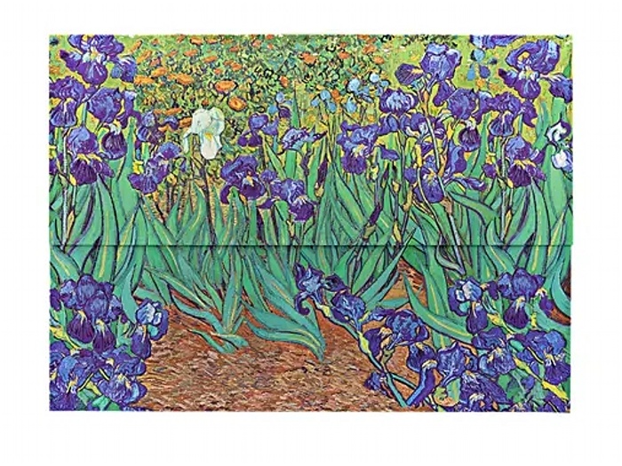 detail Paperblanks Desky na dokumenty A4 - IRISES
