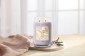 náhled Yankee Candle LAVENDER BLISS, signature velká svíčka 567g