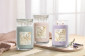 náhled Yankee Candle LAVENDER BLISS, signature velká svíčka 567g