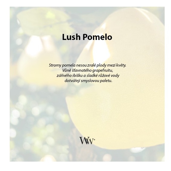 detail Vonná svíčka WoodWick Lush Pomelo, malá 85 g