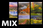 náhled Fotoalbum 10x15/96 P2-4696 Fandy NATURE mix / 1ks