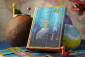 náhled Paperblanks MIDI zápisník - The Little Prince, nelinkovaný, 144stran