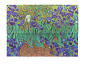 náhled Paperblanks Desky na dokumenty A4 - IRISES