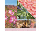 náhled Yankee Candle DESSERT BLOOMS, vonný vosk 22 g NEW