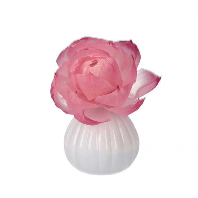 detail Bridgewater SWEET GRACE květinový difuzér, 236 ml